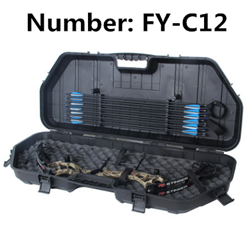 FY-C12