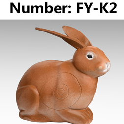 FY-K2