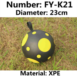 FY-K21